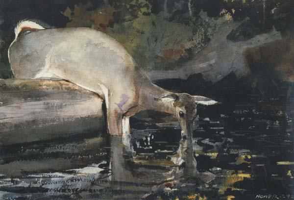 Winslow Homer Deer Drinking (mk44) Germany oil painting art